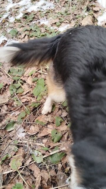VID_20250122_130033.mp4