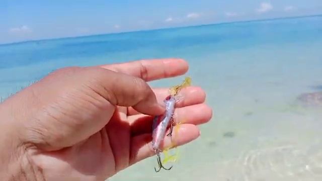 Pakai minnow murah tapi killer || Ultralight casting || Magno Timon || Banggai laut