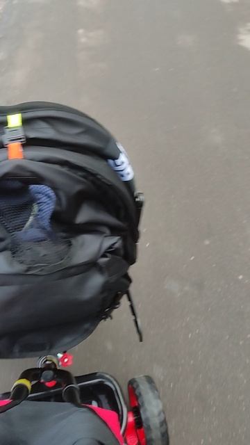 31-01-2025