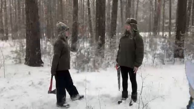 Сказка волшебный лес
