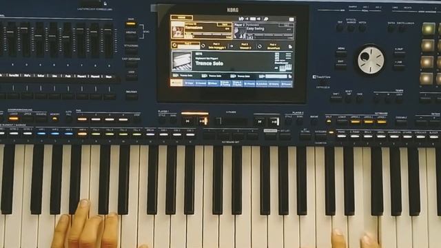 Fancy - Flames Of Love / Korg Pa5x