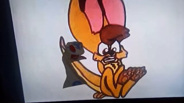Nicholas The Anacondrai (Me) And Kayley/Rebecka Ortiz (Kangaroo) Screams Like Woody And Bo Peep