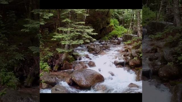 Любовь! Как могу о Тебе все сказать?
Бренный разум, сраженный, молчит.