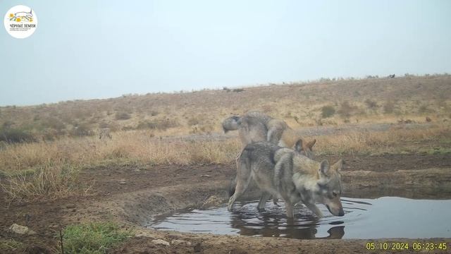 Приоткрывая заповедные двери... «Без воды – земля пустырь»