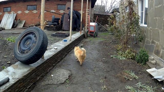 УТЕПЛЯЕМ СКВАЖИНУ!!ВЫЧИЩАЕМ КОРЫТО И БЕТОНОМЕШАЛКУ!!!МЕЛИОРАЦИЯ ДОРОГИ!!!Деревенский влог