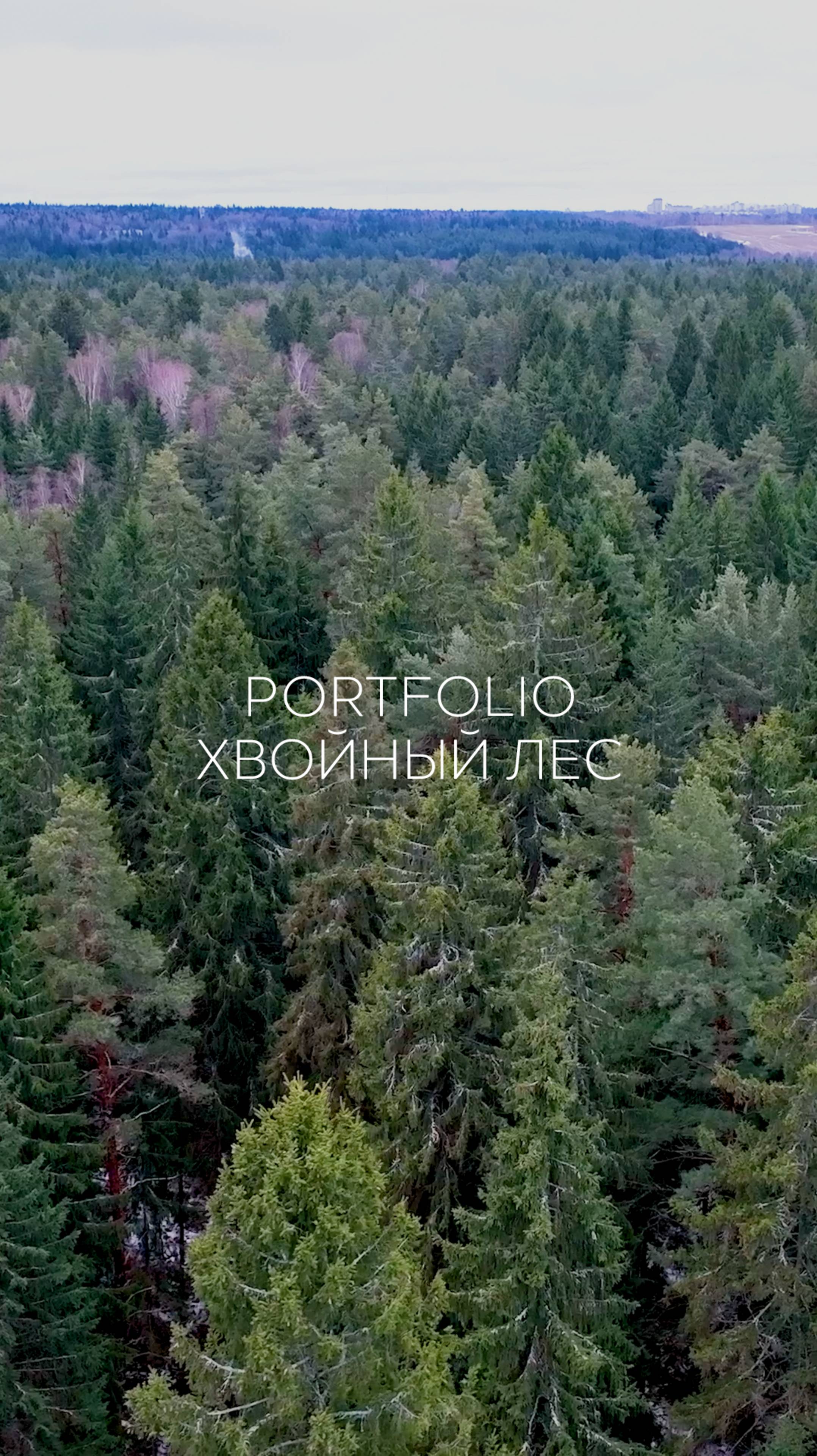 PORTFOLIO — пространство, где природа и комфорт едины