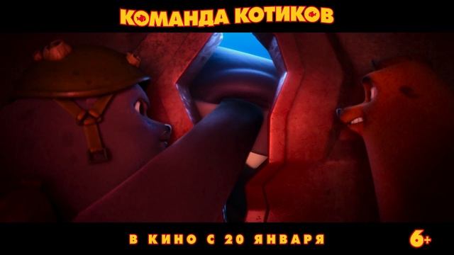 Команда котиков