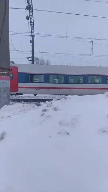 скоростной поезд Стриж Нижний Новгород Москва