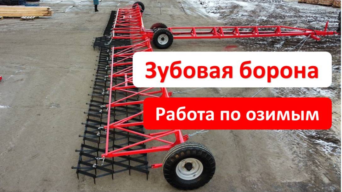 Работа зубовой бороны по озимым