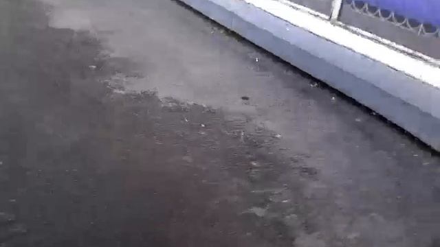 Мы идём биг йоркер