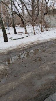 Казань погода на 31 января 2025