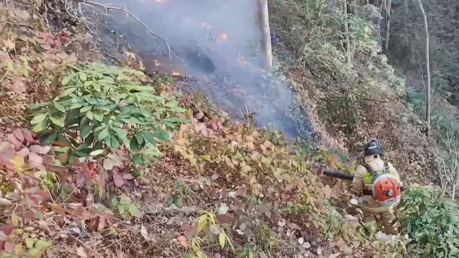 Пожар в лесу в районе сочинского села Пластунка локализован