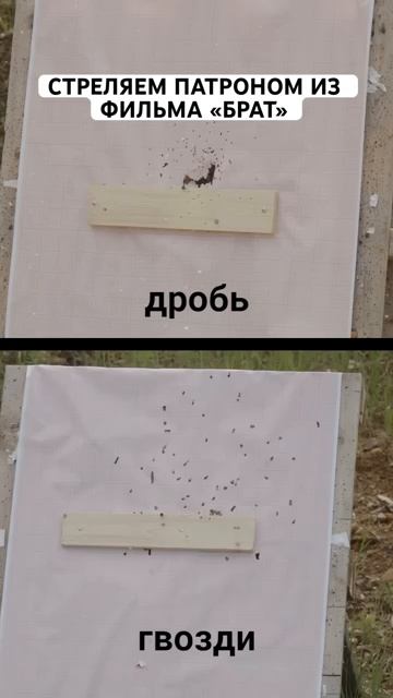 Зарядил патрон гвоздями как в фильме «БРАТ»