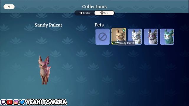 How To Get Your Pet in Palia!