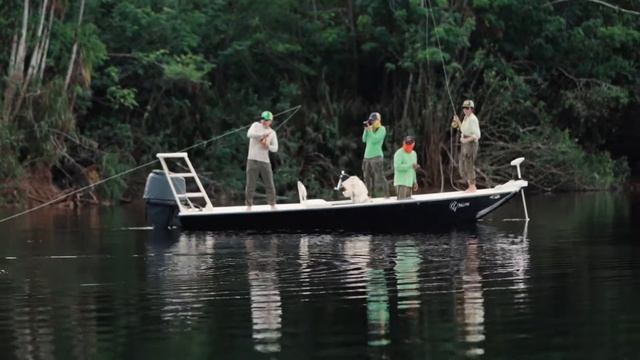 Fly Fishing in the Amazon - Explosive Attack from a Giant Peacock Bass!