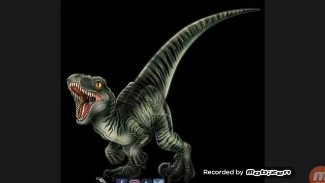 Charlie velociraptor 😉😊😃