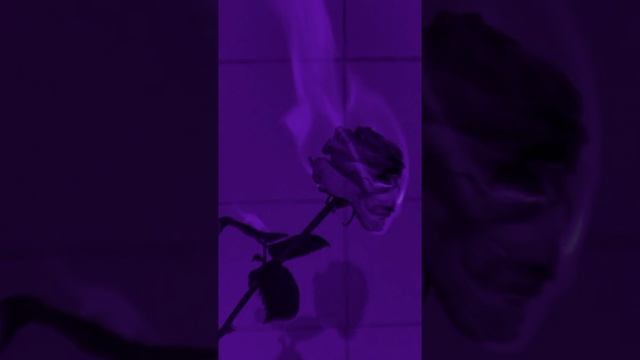 lv_0_20250131134222.mp4