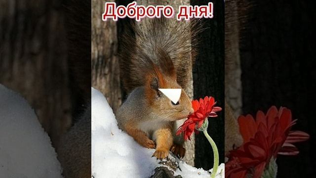 Доброе утро💖 Хорошего дня😊💝