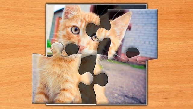 Jigsaw Puzzle Epic 160 Серия Игра 2025