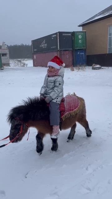 Я на пони! Всем хорошего настроения!