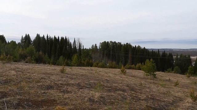 №4991 19 04 2024 Утро сорок