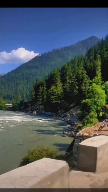 Most beautiful 🤩🌲Neelam Valley 🚘 #narankaghan #kpk #road #grren #mountain #view #pakistan #foryou