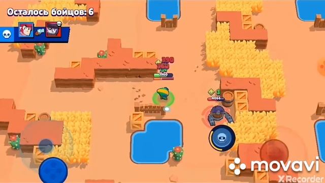 "Gucci leon" brawl stars