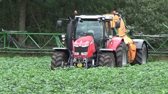 MASSEY FERGUSON 7616 AARDAPPELS SPUITEN MET EEN AMAZONE 5200 SUPER