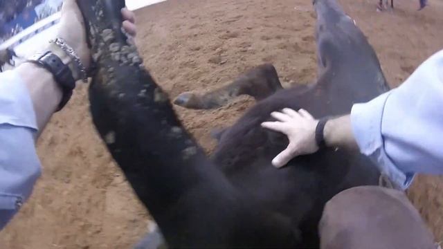 OCA Range Roundup from the Lazy E Arena. Jet McCoy "Cattle Doctoring" GoPro vid