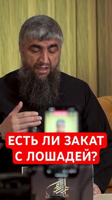 НУЖНО ЛИ ПЛАТИТЬ ЗАКЯТ С ЛОШАДЕЙ?