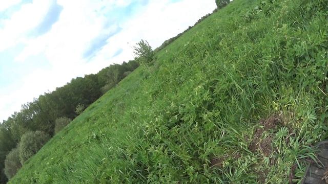 МЕТАЛЛОКОП.копать всё трудней(высокая трава.жара)ЦЕНЫ НА ДНЕ.копим не сдаём