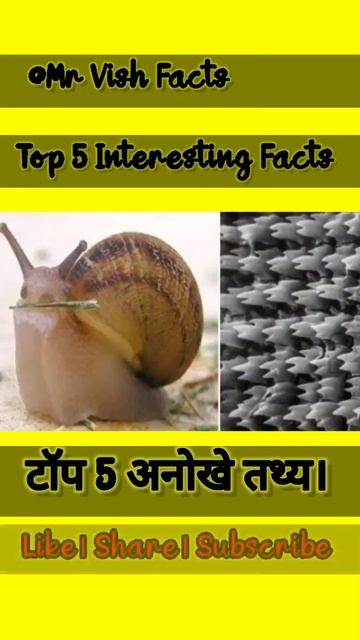 Top 5 Interesting Facts। टॉप 5 अनोखे तथ्य। #youtubeshorts #shorts #youtube #viral #ytshorts #facts