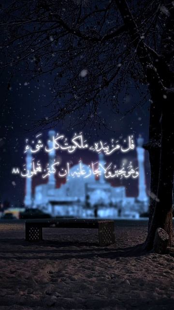 Сура Аль-Му'минун   Ясир Ад-Даусари