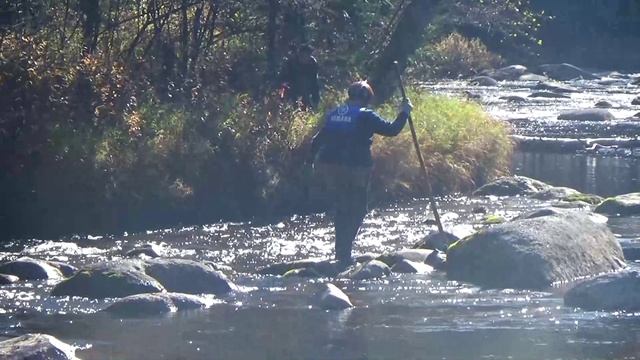 Ямаха на Ульме.mp4