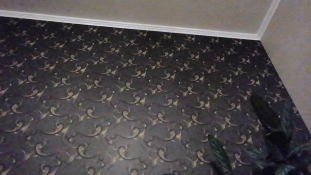 VID_20250131_222147.mp4