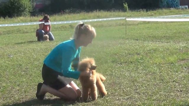 19.07.15 Иркутск  Всероссийская выставка САЛИНА ВЭСТЭН ДЕВИКА