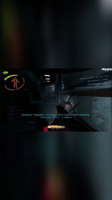 таракан