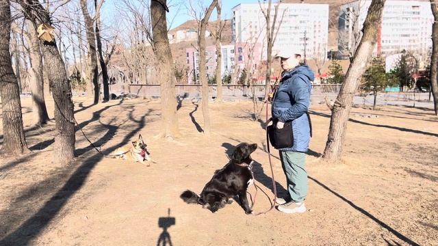 Заклинивание позиции сидеть. Макс.