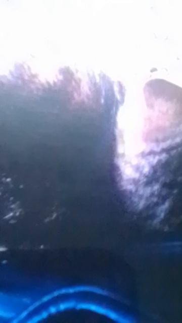 VID_20250131_161359.mp4