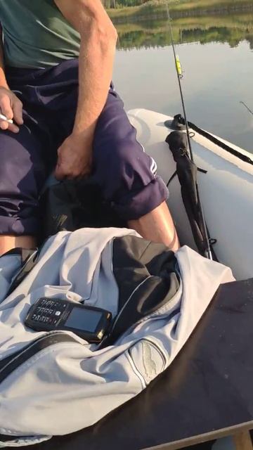 Tohatsu 5  Energy 330 НДНД.