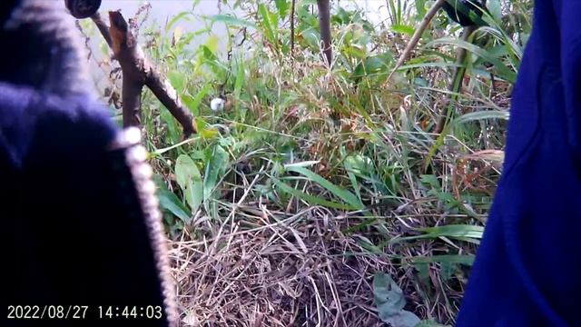 МЕНЯ МАНИТ НА РЫБАЛКУ. ч1.