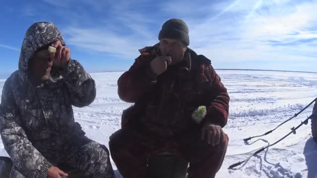 Зарисовка о зимней рыбалке. Судак.