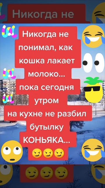 юмор 🤣