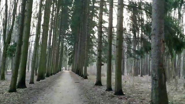 Выходной! Прогулялись по парку!!!
