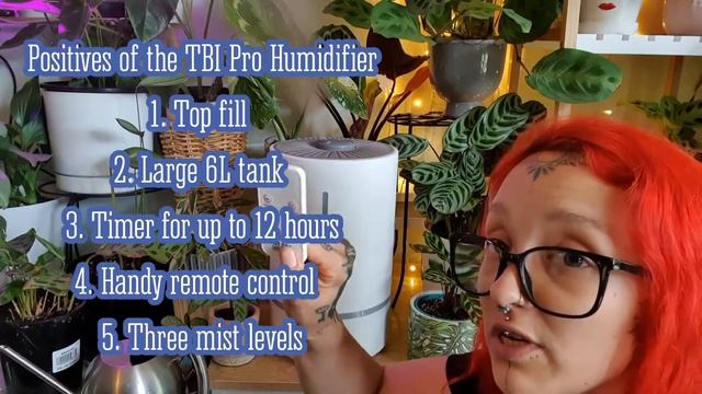 Product Review of the TBI Pro Humidimaster Humidifier - Plant Tips with Empress