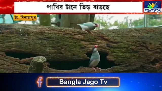 Raiganj (Kulik) Bird & Wildlife Sanctuary ।  উঃদিনাজপুরের কুলিক পাখিরালয়