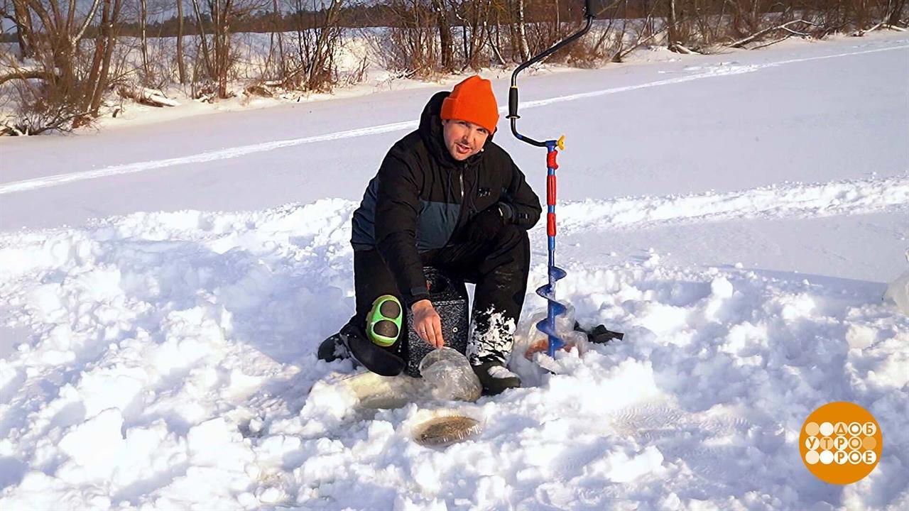 Рыбка, хочешь семечек? Доброе утро. Фрагмент выпуска от 31.01.2025