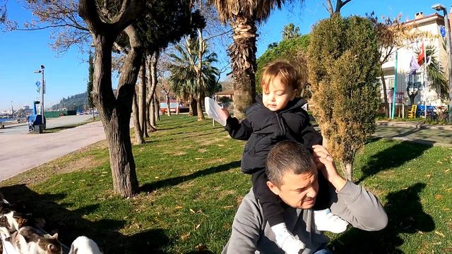 A father and his son feed stray cats and the world becomes more beautiful for a few minutes.