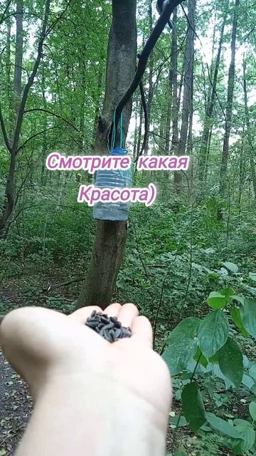 Это Красота)