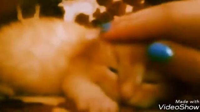 Кякь де хотеться спять! =3